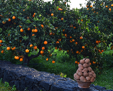 thumbnail-page1sdesss2-300x243