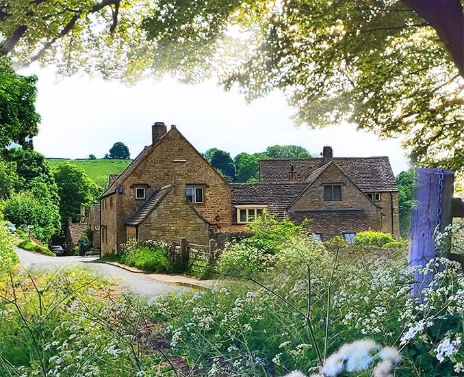 thumbndail-page1sdesss2-300x243